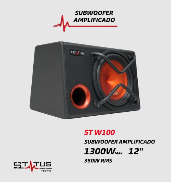 SUBWOOFER STATUS STW100