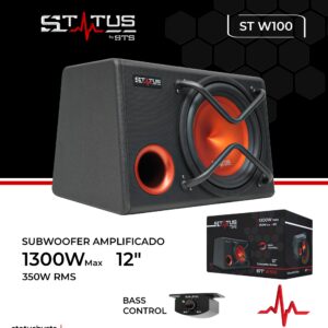 SUBWOOFER STATUS STW100