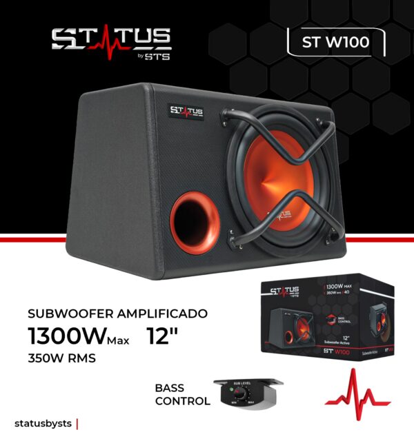SUBWOOFER STATUS STW100